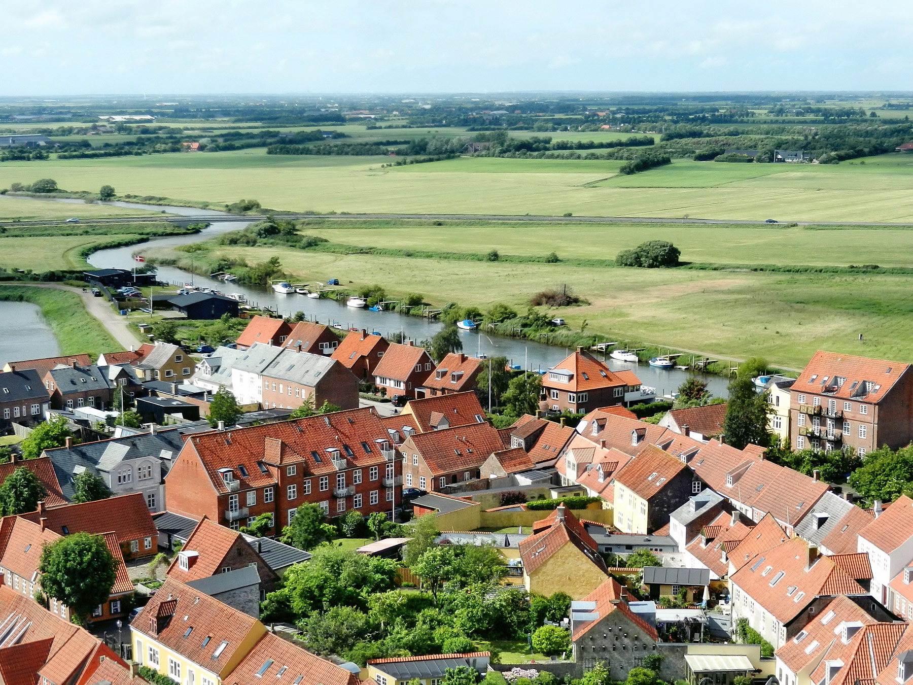 Ribe